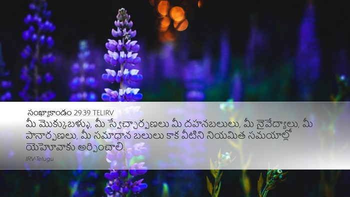 సంఖ్యాకాండం 29:39 TELIRV Desktop Wallpaper - మీ మొక్కుబళ్ళు, మీ - Desktop Bible Verse Wallpaper