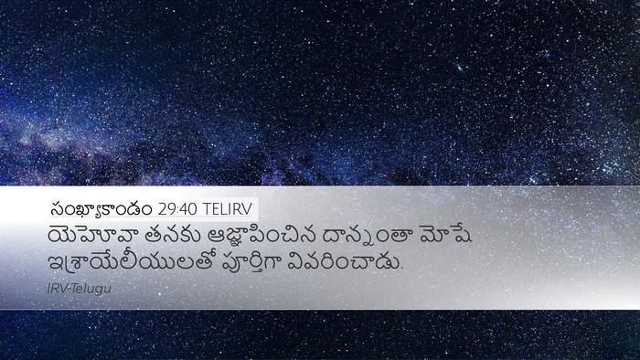 సంఖ్యాకాండం 29:40 TELIRV Bible Verse Image