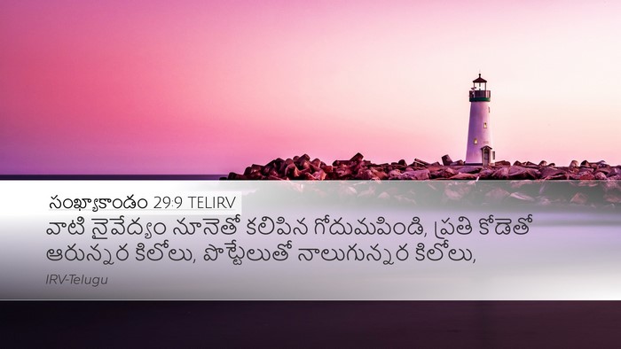 సంఖ్యాకాండం 29:9 TELIRV Desktop Wallpaper - వాటి నైవేద్యం - Desktop Bible Verse Wallpaper