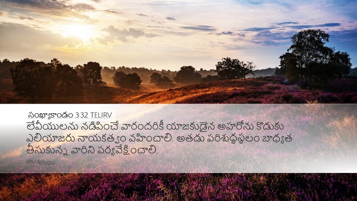 సంఖ్యాకాండం 3:32 TELIRV Bible Verse Image