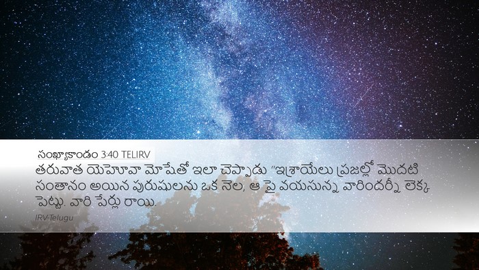 సంఖ్యాకాండం 3:40 TELIRV Bible Verse Image