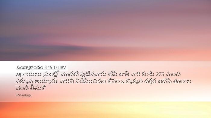 సంఖ్యాకాండం 3:46 TELIRV Bible Verse Image