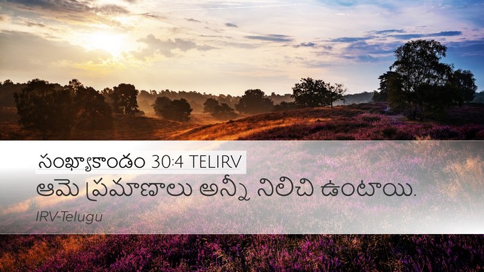సంఖ్యాకాండం 30:4 TELIRV Desktop Wallpaper - ఆమె ప్రమాణాలు - Desktop Bible Verse Wallpaper