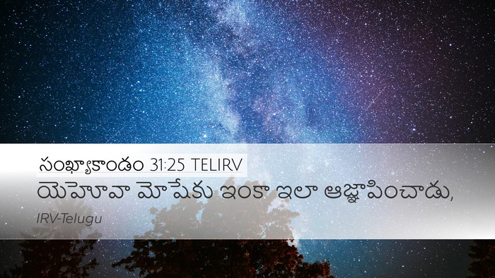 సంఖ్యాకాండం 31:25 TELIRV Desktop Wallpaper - యెహోవా మోషేకు - Desktop Bible Verse Wallpaper