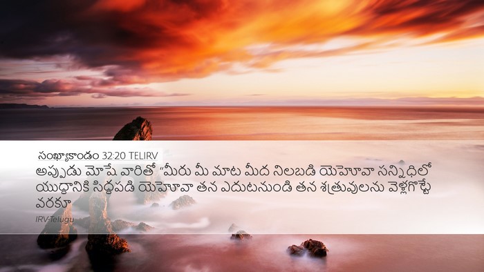 సంఖ్యాకాండం 32:20 TELIRV Bible Verse Image