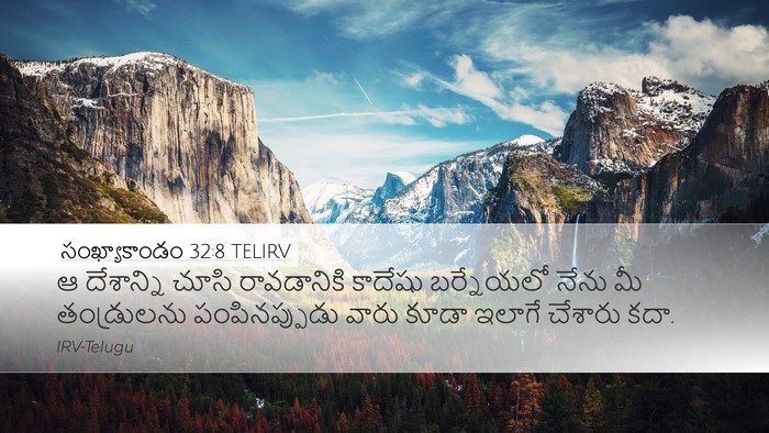 సంఖ్యాకాండం 32:8 TELIRV Bible Verse Image