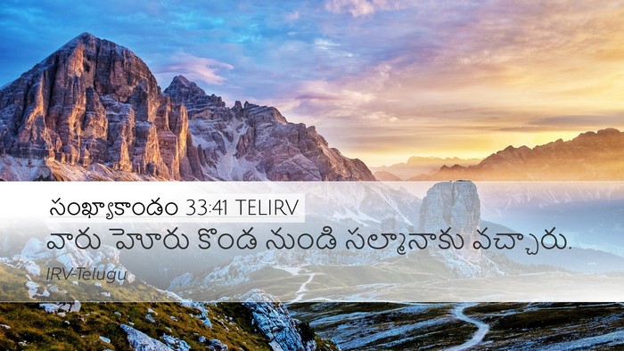 సంఖ్యాకాండం 33:41 TELIRV Bible Verse Image