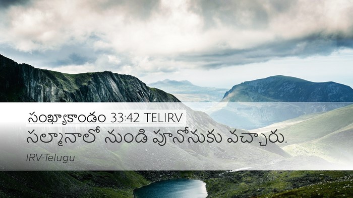 సంఖ్యాకాండం 33:42 TELIRV Desktop Wallpaper - సల్మానాలో నుండి - Desktop Bible Verse Wallpaper