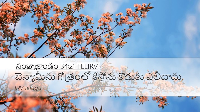 సంఖ్యాకాండం 34:21 TELIRV Desktop Wallpaper - బెన్యామీను - Desktop Bible Verse Wallpaper