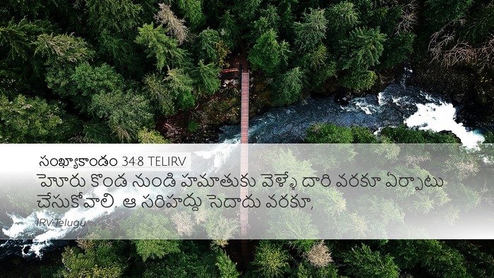 సంఖ్యాకాండం 34:8 TELIRV Bible Verse Image