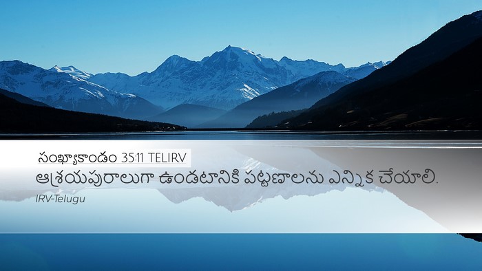 సంఖ్యాకాండం 35:11 TELIRV Bible Verse Image