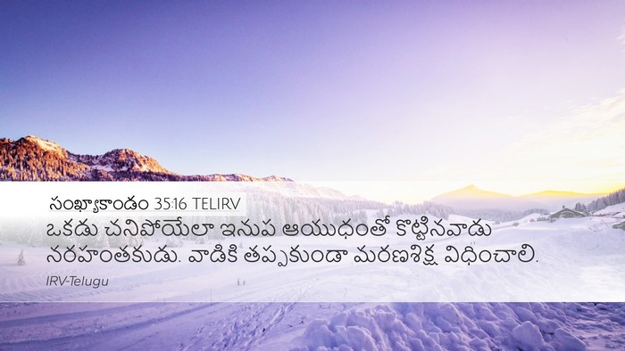 సంఖ్యాకాండం 35:16 TELIRV Bible Verse Image