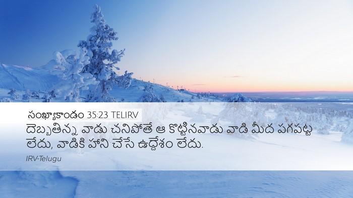 సంఖ్యాకాండం 35:23 TELIRV Desktop Wallpaper - దెబ్బతిన్న వాడు - Desktop Bible Verse Wallpaper