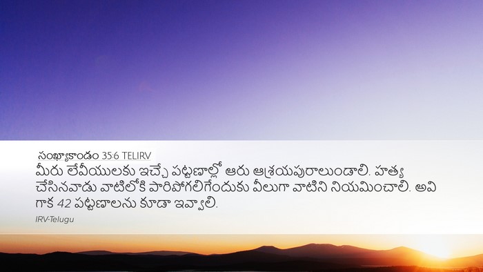సంఖ్యాకాండం 35:6 TELIRV Bible Verse Image