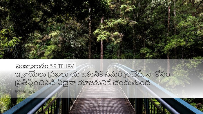సంఖ్యాకాండం 5:9 TELIRV Bible Verse Image