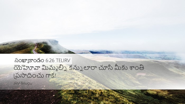 సంఖ్యాకాండం 6:26 TELIRV Desktop Wallpaper - యెహోవా మిమ్మల్ని - Desktop Bible Verse Wallpaper
