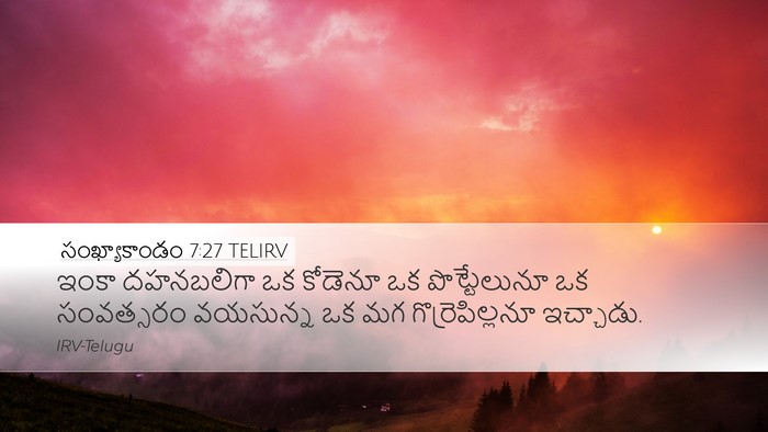 సంఖ్యాకాండం 7:27 TELIRV Desktop Wallpaper - ఇంకా దహనబలిగా ఒక - Desktop Bible Verse Wallpaper