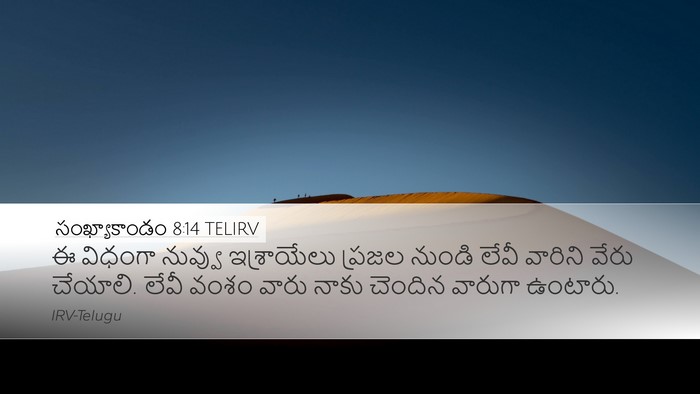 సంఖ్యాకాండం 8:14 TELIRV Desktop Wallpaper - ఈ విధంగా నువ్వు - Desktop Bible Verse Wallpaper