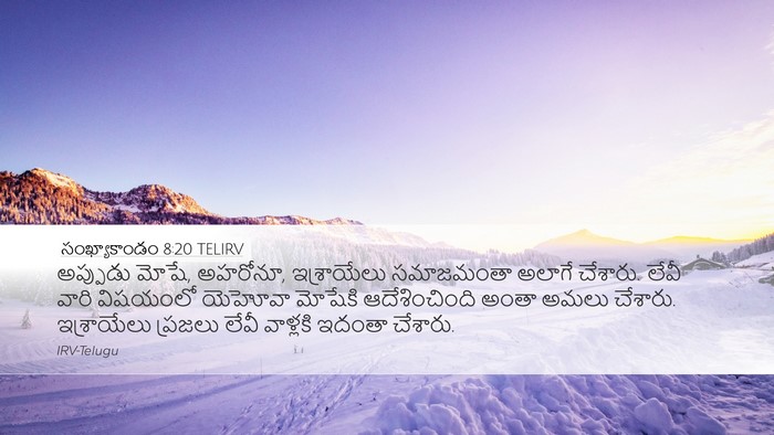సంఖ్యాకాండం 8:20 TELIRV Bible Verse Image