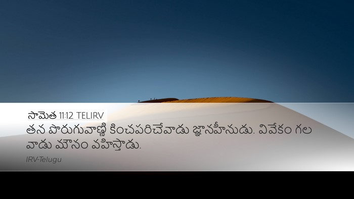 సామెత 11:12 TELIRV Bible Verse Image