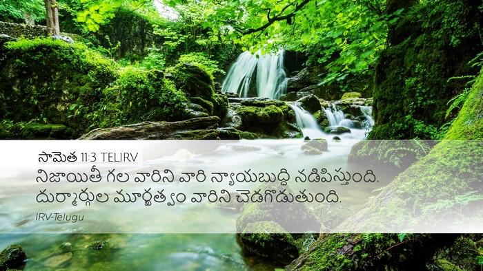 సామెత 11:3 TELIRV Bible Verse Image