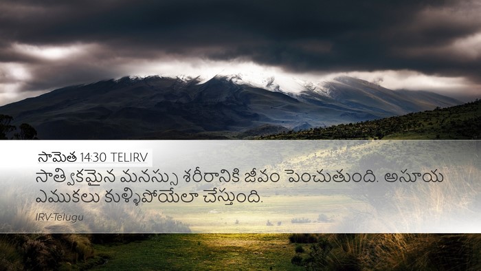 సామెత 14:30 TELIRV Bible Verse Image