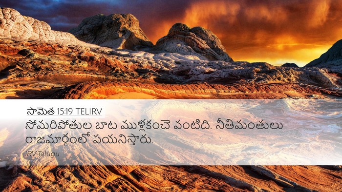 సామెత 15:19 TELIRV Bible Verse Image