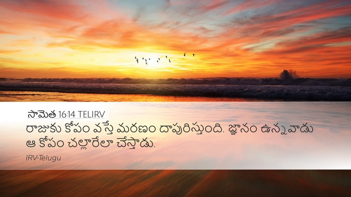 సామెత 16:14 TELIRV Bible Verse Image