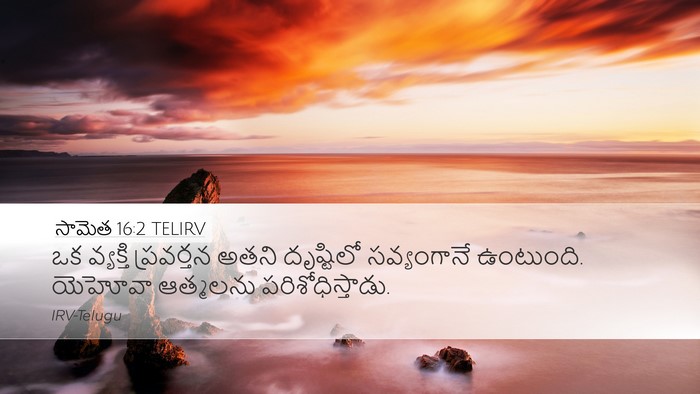 సామెత 16:2 TELIRV Bible Verse Image