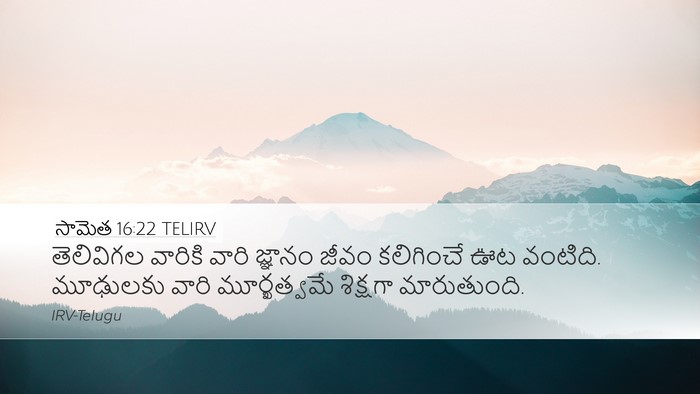 సామెత 16:22 TELIRV Bible Verse Image