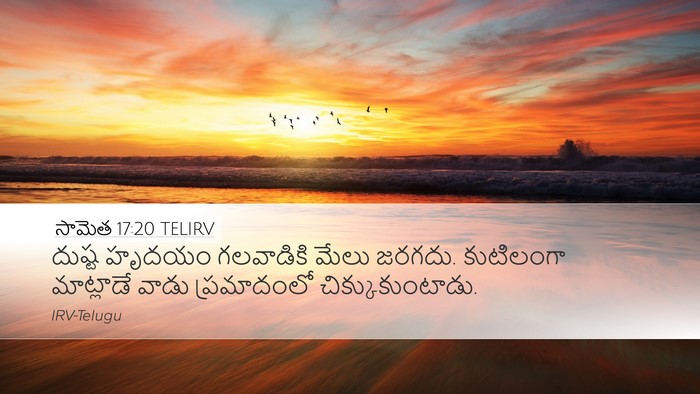 సామెత 17:20 TELIRV Bible Verse Image