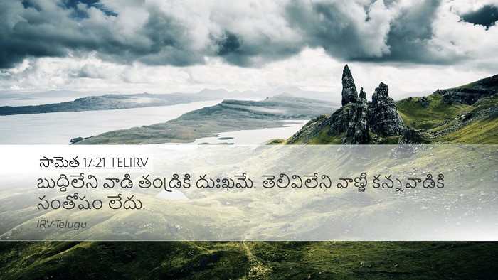 సామెత 17:21 TELIRV Bible Verse Image