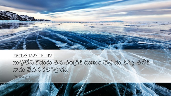 సామెత 17:25 TELIRV Bible Verse Image