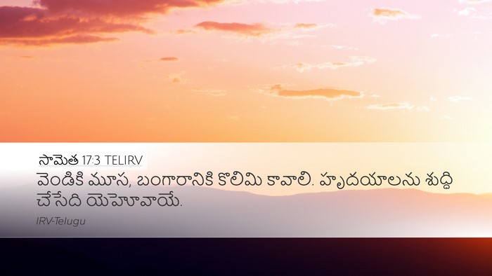 సామెత 17:3 TELIRV Bible Verse Image