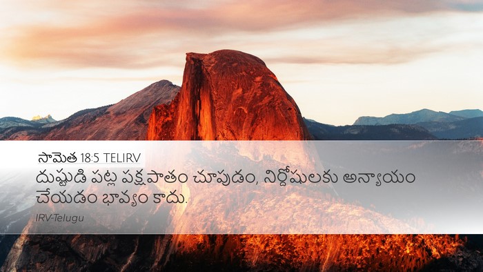 సామెత 18:5 TELIRV Bible Verse Image