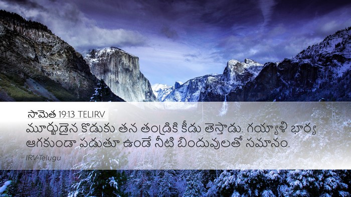 సామెత 19:13 TELIRV Desktop Wallpaper - మూర్ఖుడైన కొడుకు - Desktop Bible Verse Wallpaper