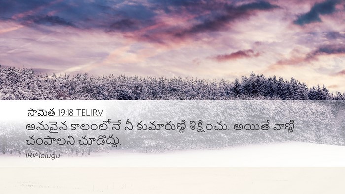 సామెత 19:18 TELIRV Desktop Wallpaper - అనువైన కాలంలోనే - Desktop Bible Verse Wallpaper