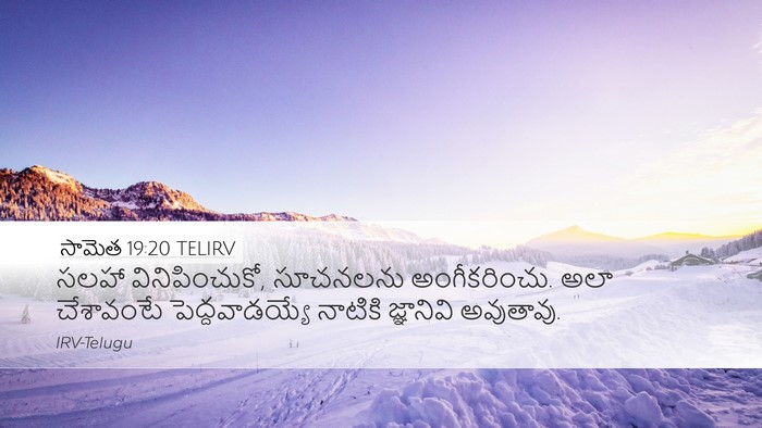 సామెత 19:20 TELIRV Desktop Wallpaper - సలహా వినిపించుకో, - Desktop Bible Verse Wallpaper