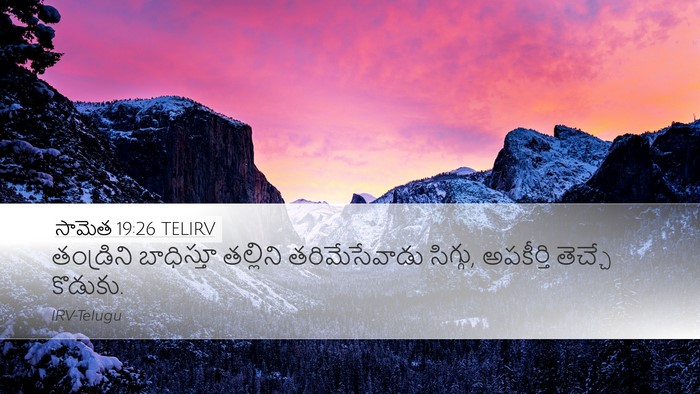 సామెత 19:26 TELIRV Desktop Wallpaper - తండ్రిని బాధిస్తూ - Desktop Bible Verse Wallpaper