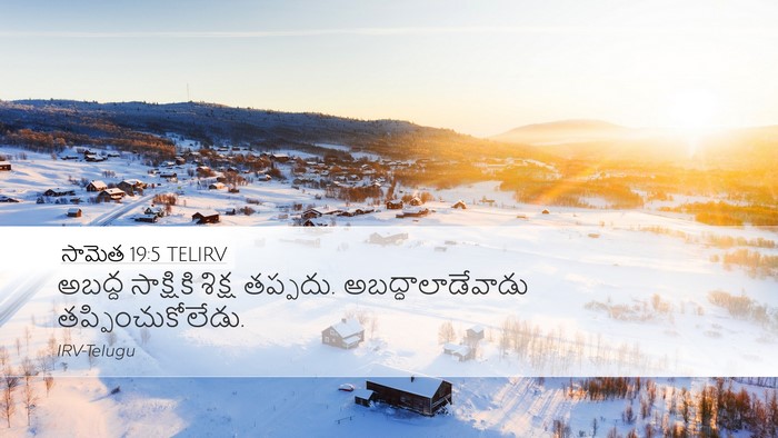 సామెత 19:5 TELIRV Desktop Wallpaper - అబద్ద సాక్షికి - Desktop Bible Verse Wallpaper