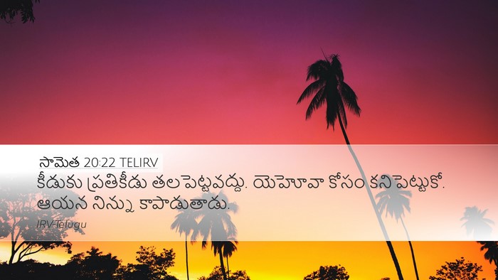 సామెత 20:22 TELIRV Bible Verse Image