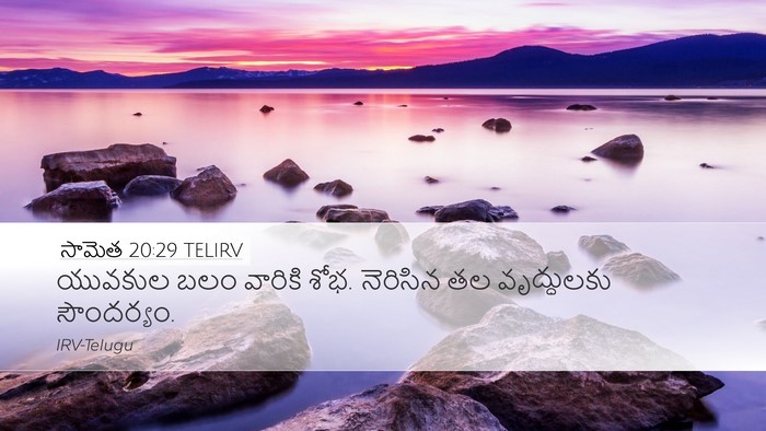 సామెత 20:29 TELIRV Bible Verse Image
