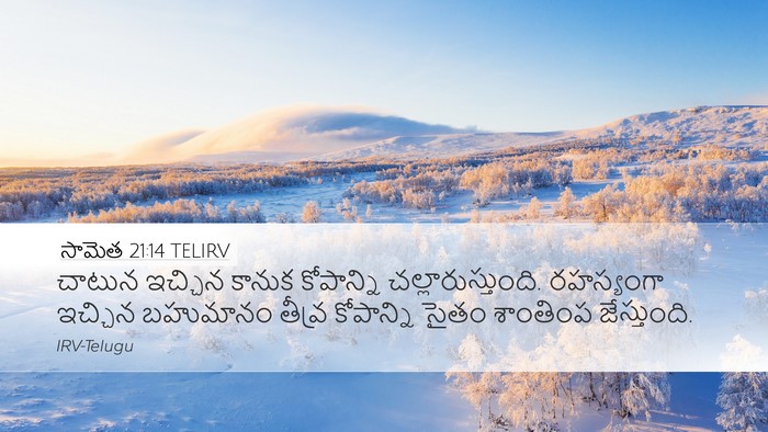 సామెత 21:14 TELIRV Bible Verse Image