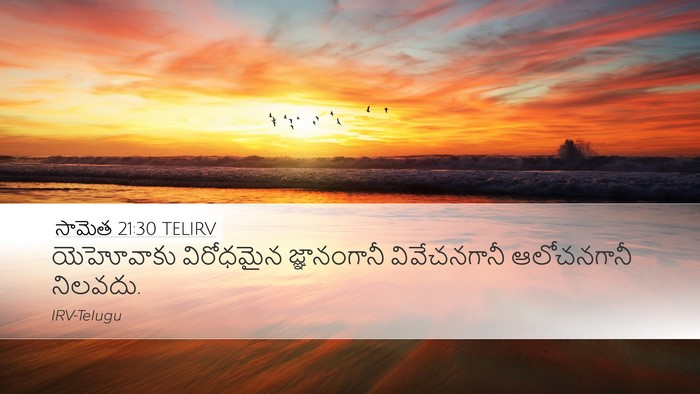 సామెత 21:30 TELIRV Bible Verse Image