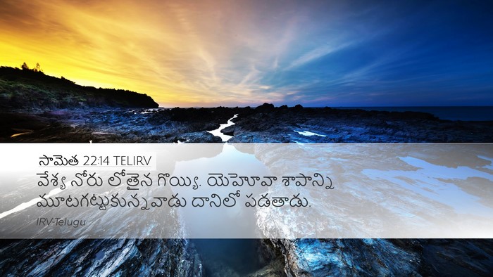 సామెత 22:14 TELIRV Bible Verse Image