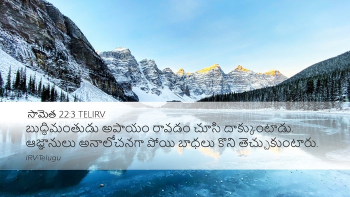 సామెత 22:3 TELIRV Bible Verse Image