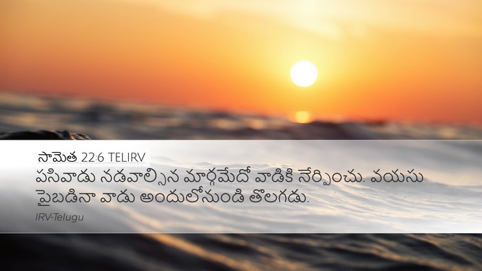 సామెత 22:6 TELIRV Bible Verse Image