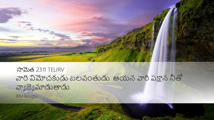 సామెత 23:11 TELIRV Desktop Wallpaper - వారి విమోచకుడు - Desktop Bible Verse Wallpaper
