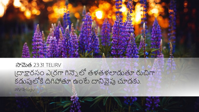 సామెత 23:31 TELIRV Bible Verse Image