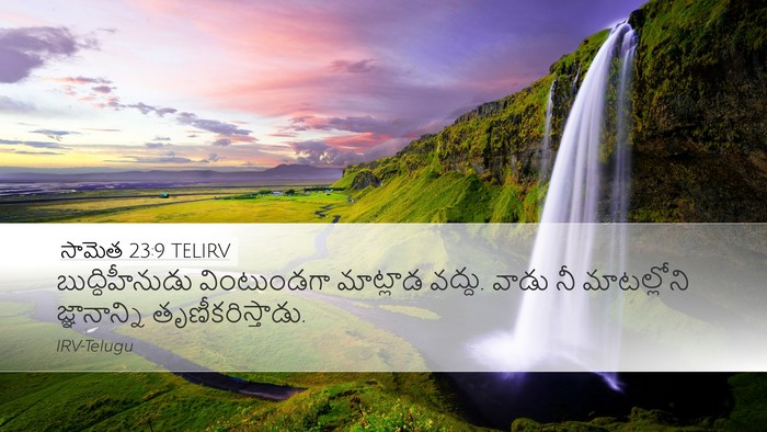 సామెత 23:9 TELIRV Bible Verse Image